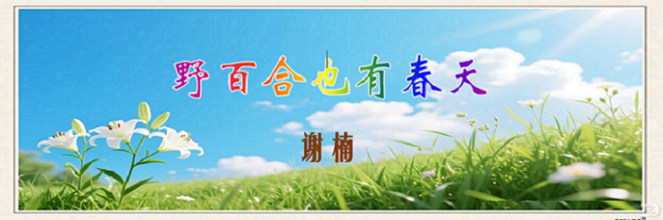 百合.png