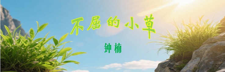 小草0.png