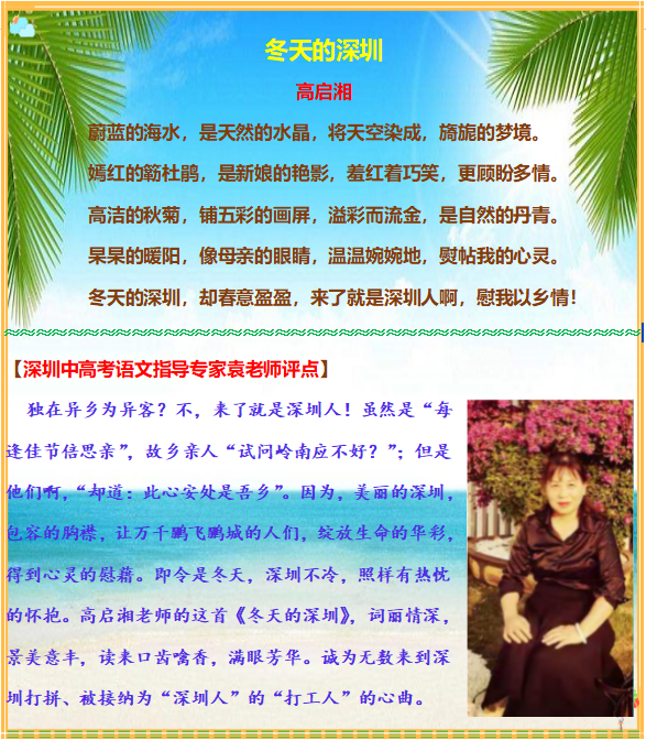冬天的深圳.png
