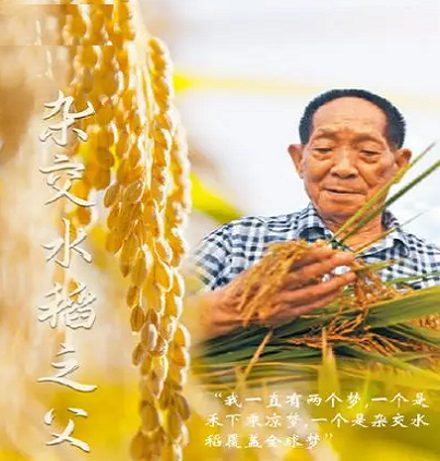 有意义33.png