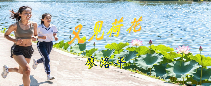 荷花标题.png